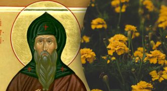 Какой сегодня праздник 16 августа:  кого нужно поздравить в этот день