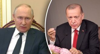 "Ведет себя, как гопник из подворотни": эксперт сказал, зачем Путин хочет запугать Эрдогана