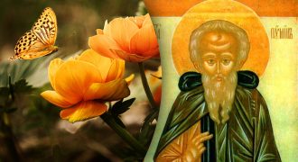 Какой сегодня праздник 20 августа:  кого нужно поздравить в этот день
