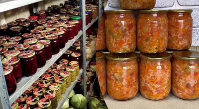 Где лучше хранить консервацию в квартире Где лучше хранить консервацию в квартире