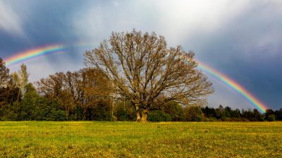 Литимуть дощі, накриє похолодання: погода в Україні підготувала нові "сюрпризи"