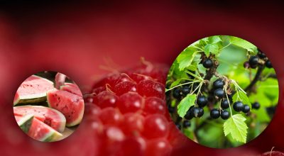 Кавун, малина, чорна смородина