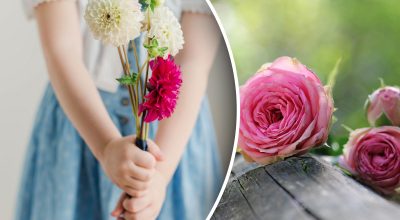 Квіти Квіти