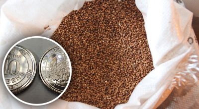 Гречки, монеты