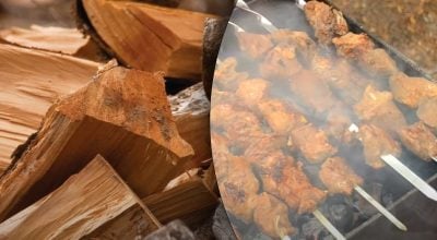 На яких дровах не можна смажити шашлик На яких дровах не можна смажити шашлик