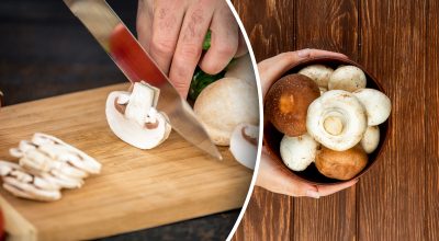 Секрети чистки грибів