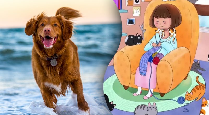 Загадка для самых хитрых: нужно найти собаку в "царстве кошек"