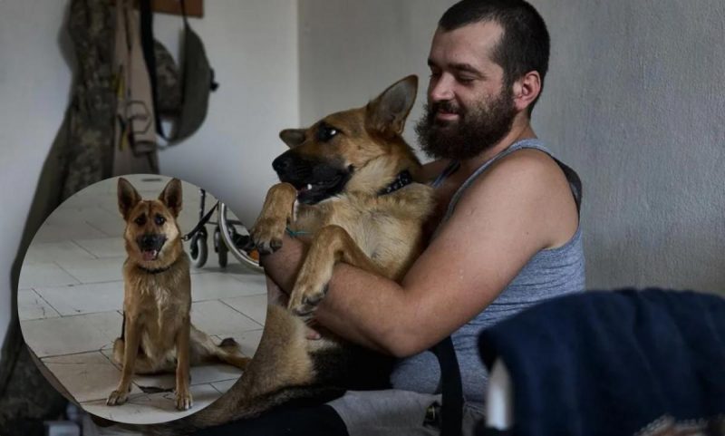 "Всі говорили - це неможливо": у Мережі зворушилися історією пораненого бійця ЗСУ та його собаки