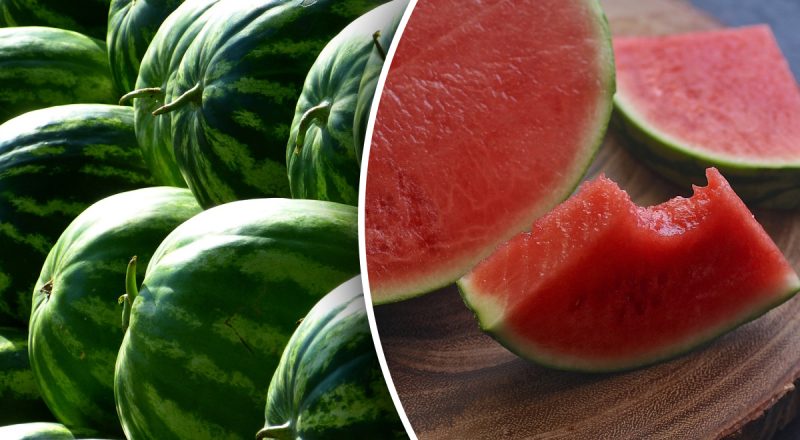 Как выбрать спелый и сладкий арбуз прямо возле прилавка: 5 проверенных способов