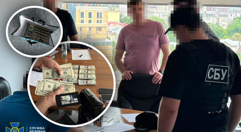 Нардепа зі "Слуги народу" викрито на корупції: "продавав" землю НААН