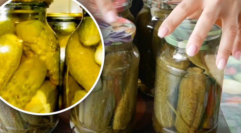 Що корисного в малосольних огірках і як їх правильно зберігати: відповідь вас здивує