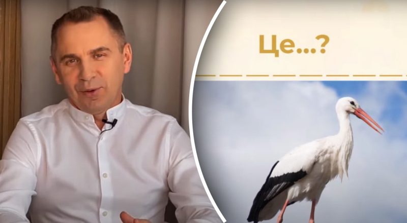 Как на украинском можно назвать аиста: Авраменко озвучил аж 5 синонимов