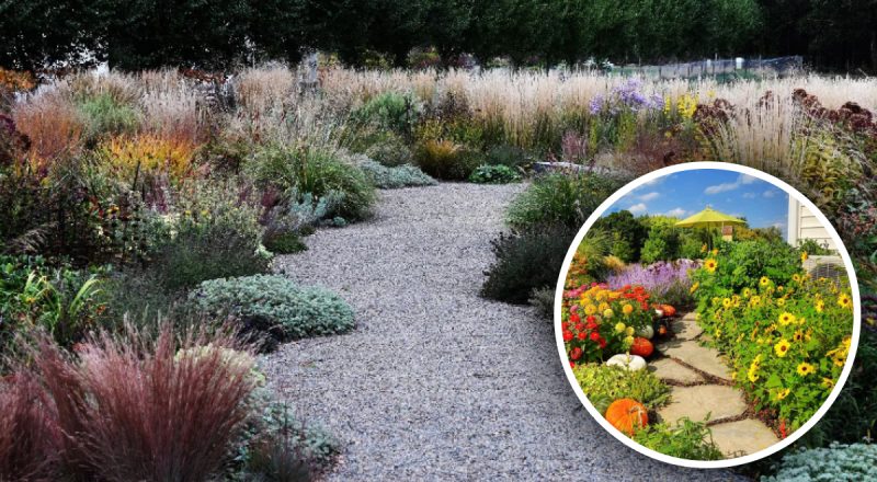 Из чего сделать дорожки на даче дешево и красиво: неожиданный способ удивит опытных садоводов