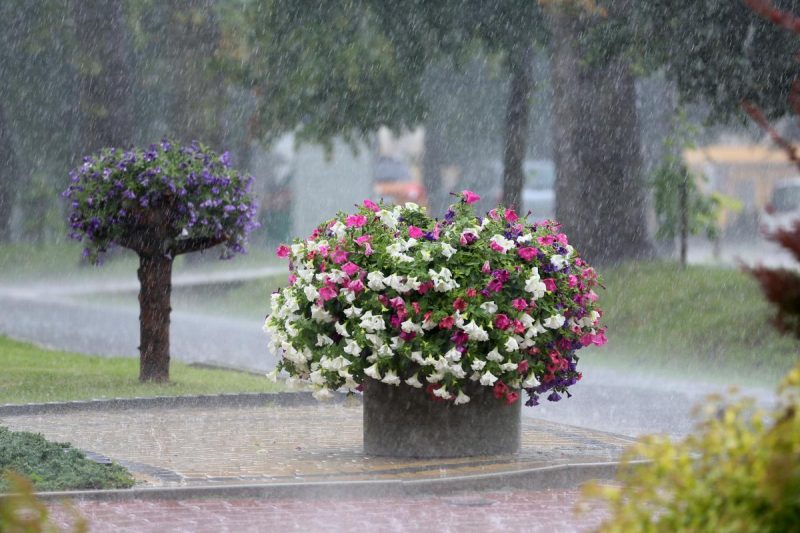 Грозы, град и сильный ветер: названа дата, когда в Украине будет бушевать непогода
