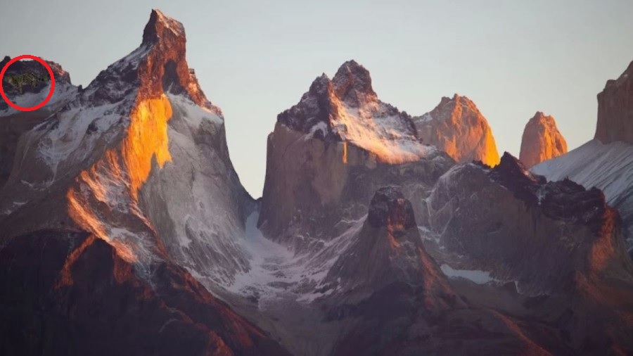 Оптическая иллюзия Оптическая иллюзия