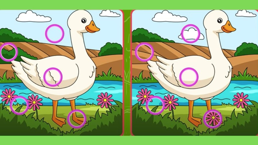 Загадка Загадка