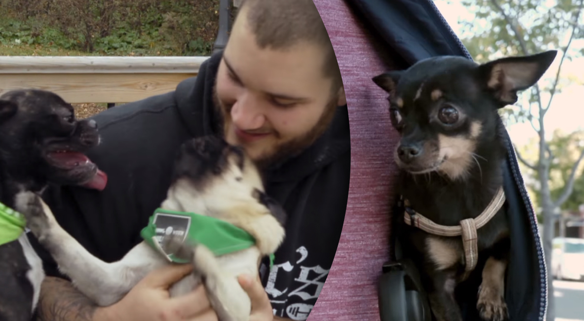 Она вас облизывает