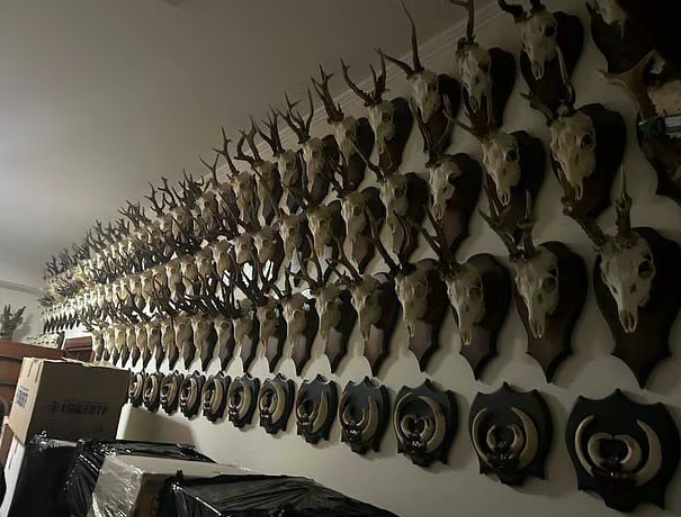 У Нестора Шуфрича провели обыск