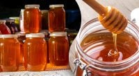 Втратить корисні властивості: де не можна тримати мед - відповідь пасічника