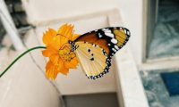 Що не можна робити 4 вересня, щоб не притягнути проблеми і бідність: прикмети