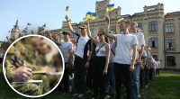 Студентам дають повістки, хоча є відстрочка: адвокат пояснив, що робити