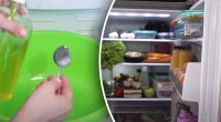 Ось як швидко видалити неприємний запах у холодильнику: про це знають не всі