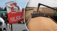 Ситуація небезпечна: Пьотр Кульпа пояснив, що призвело до зернових протестів у Польщі