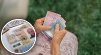 Отримати доплату в 25% до пенсії: кому пощастило і хто має право