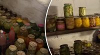 Пора робити ревізію: скільки років можна зберігати домашню консервацію