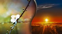 День весняного рівнодення 2024: коли чекати короткі ночі та довгі дні після зими