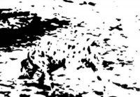 Божевільна головоломка для найуважніших: треба знайти собаку за 5 секунд