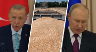 Эрдоган и Путин не смогли договориться о возобновлении "зерновой сделки"