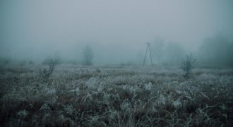 В Украине ударит -3: на днях страну накроют заморозки