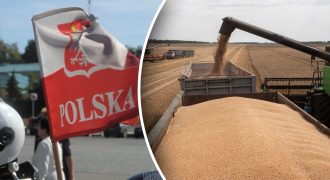 В Польше пригрозили "бессрочным" эмбарго на украинское зерно: известны условия