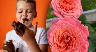 Чем особенный сегодняшний день: 13 сентября