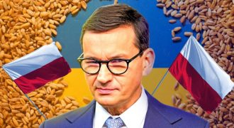 Польша и Украина поссорились из-за зерна: что на самом деле происходит