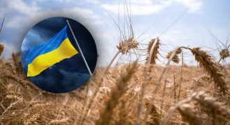 Ситуация с зерном налаживается: все три черноморских порта снова заработали