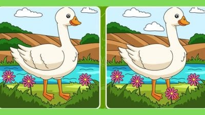 Загадка Загадка