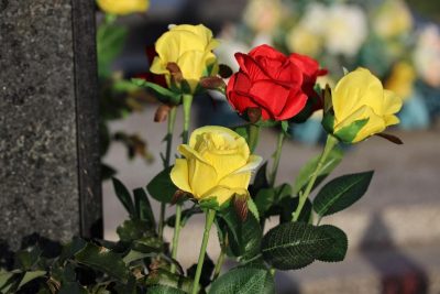 Українка вкрала 20 троянд з могили військовослужбовця Українка вкрала 20 троянд з могили військовослужбовця
