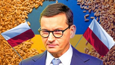 Польша и Украина поссорились из-за зерна: что на самом деле происходит