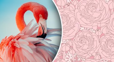 Безумная головоломка для гениев: надо найти фламинго среди цветов за 7 секунд