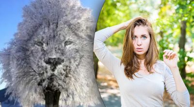 Оптическая иллюзия покажет, являетесь ли вы реалистом или мечтателем