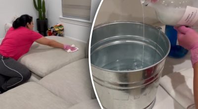 Добработница-професіонал показала найпростіший спосіб чищення дивана Добработница-професіонал показала найпростіший спосіб чищення дивана