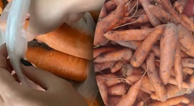 Як зберігати моркву, щоб не гнила: 3 поради для тривалого зберігання