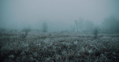 В Украине ударит -3: на днях страну накроют заморозки