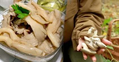 Неймовірно легкий рецепт маринованих глив по-корейськи на зиму: спробуй і ти