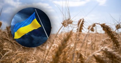 Ситуация с зерном налаживается: все три черноморских порта снова заработали