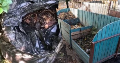 Что нельзя кидать в компостер: секреты лучшего удобрения