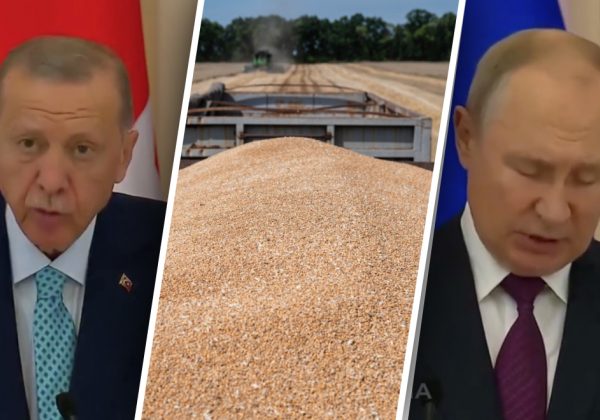 Эрдоган и Путин не смогли договориться о возобновлении "зерновой сделки"