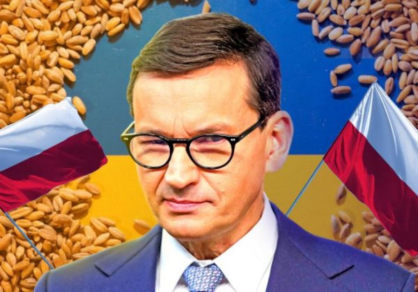 Польша и Украина поссорились из-за зерна: что на самом деле происходит